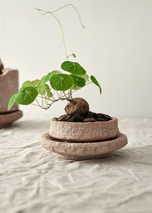 Plant Pot, Ceramic (Small or Large)