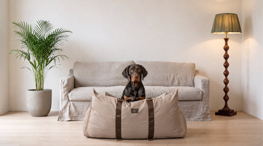 Dog Bed in Japandi style living room