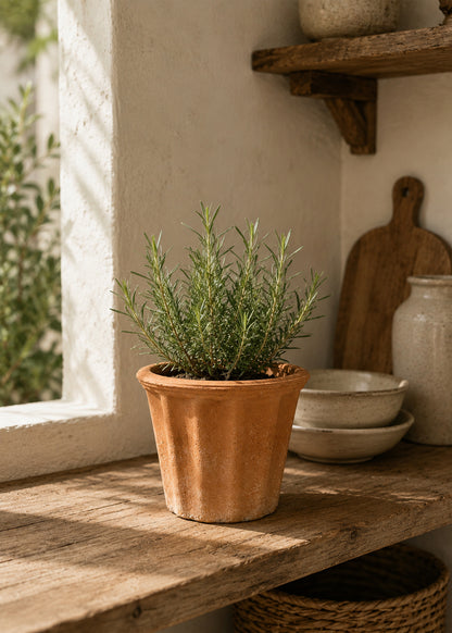 Orto, Rustic Terracotta Garden Pot