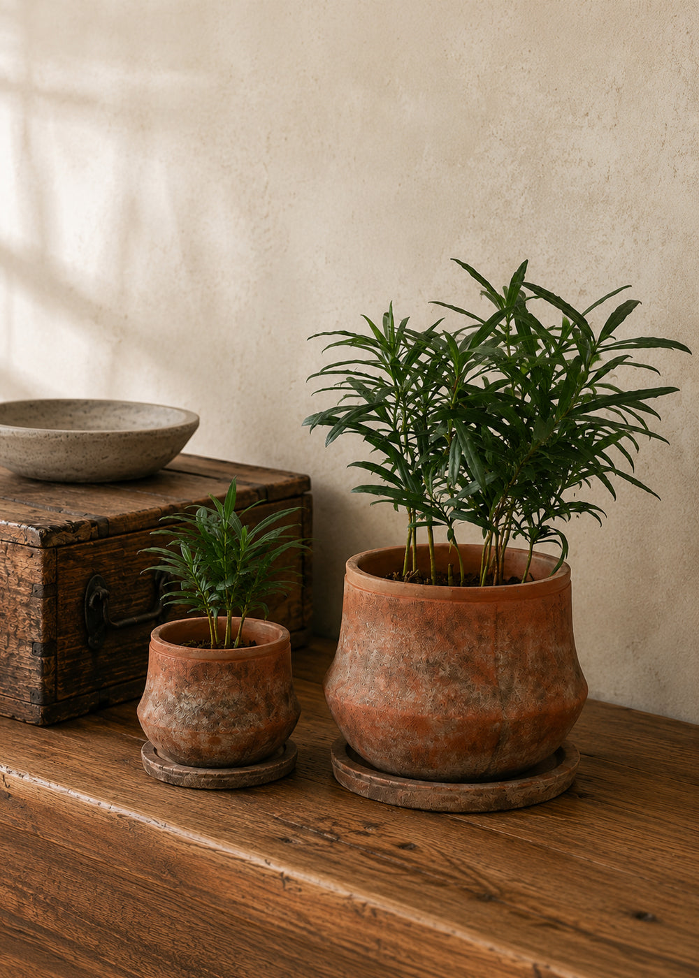 Terra, Aged Terracotta Planter with Saucer