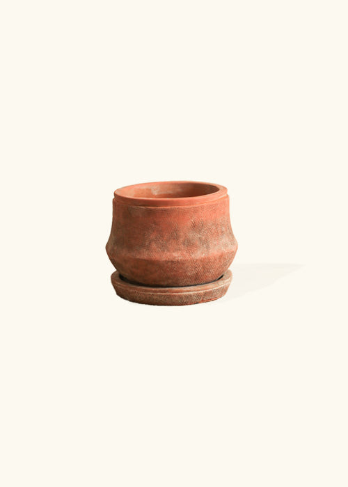 A terracotta-colored plant pot with a distinctive burnt texture. The pot's warm earthy tones and textured surface evoke a rustic and artisanal feel, adding natural charm to any space. Perfect for showcasing your favorite plants and bringing a touch of organic elegance to your home or garden decor